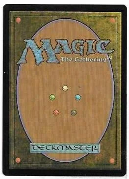 sorcerers broom.2.jpg