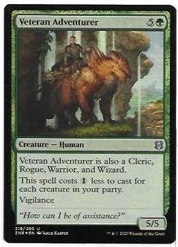 Veteran Adventurer