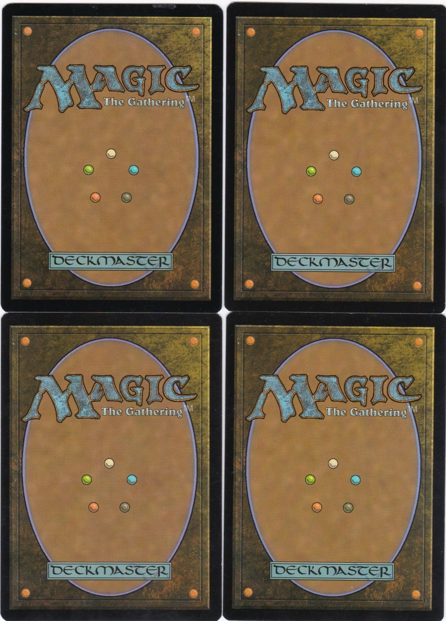 relentless raptor b.jpg