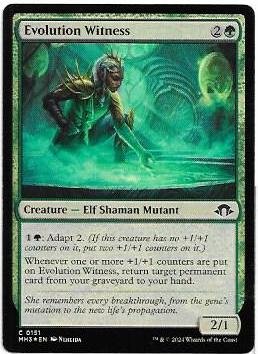 Evolution Witness
