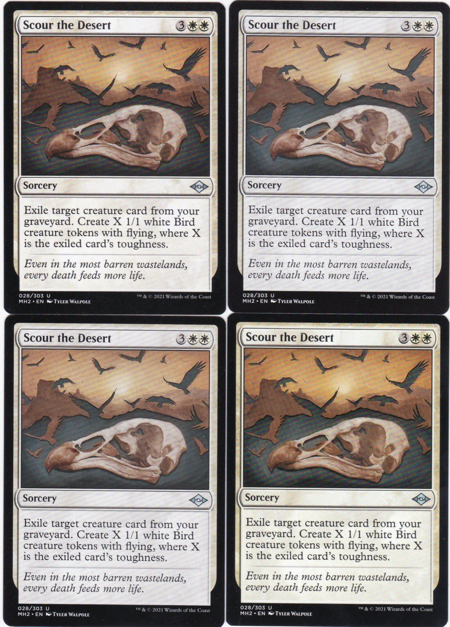 scour the desert a.jpg