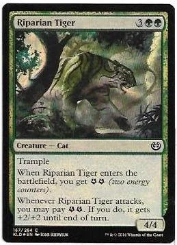 Riparian Tiger