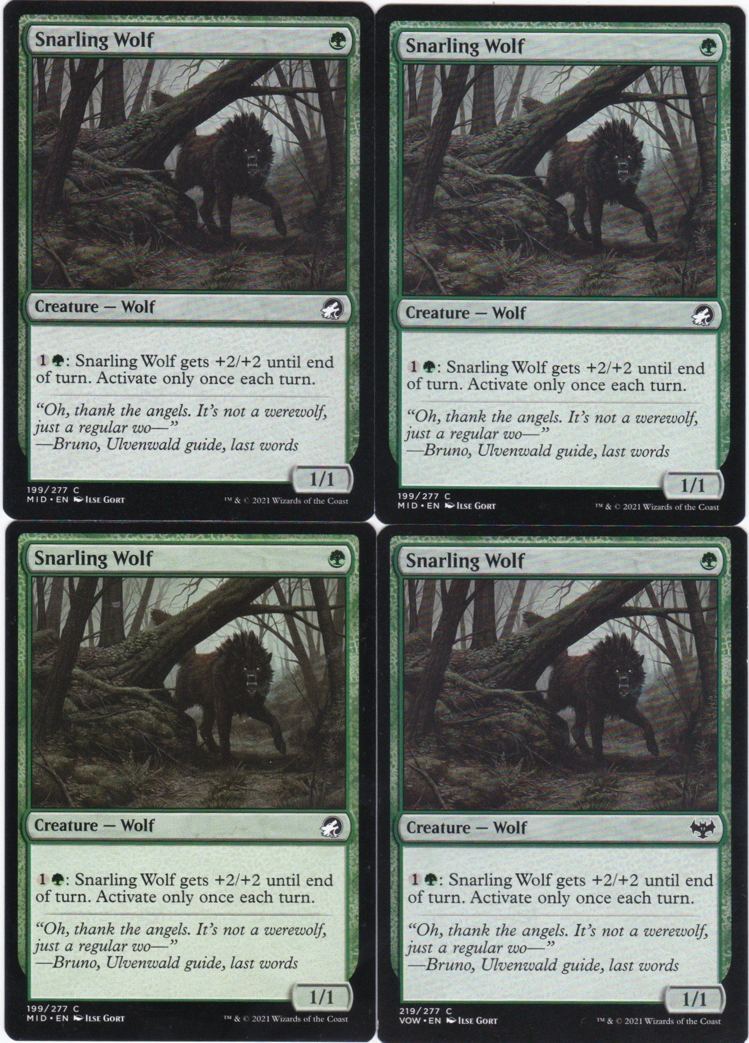 snarling wolf.jpg