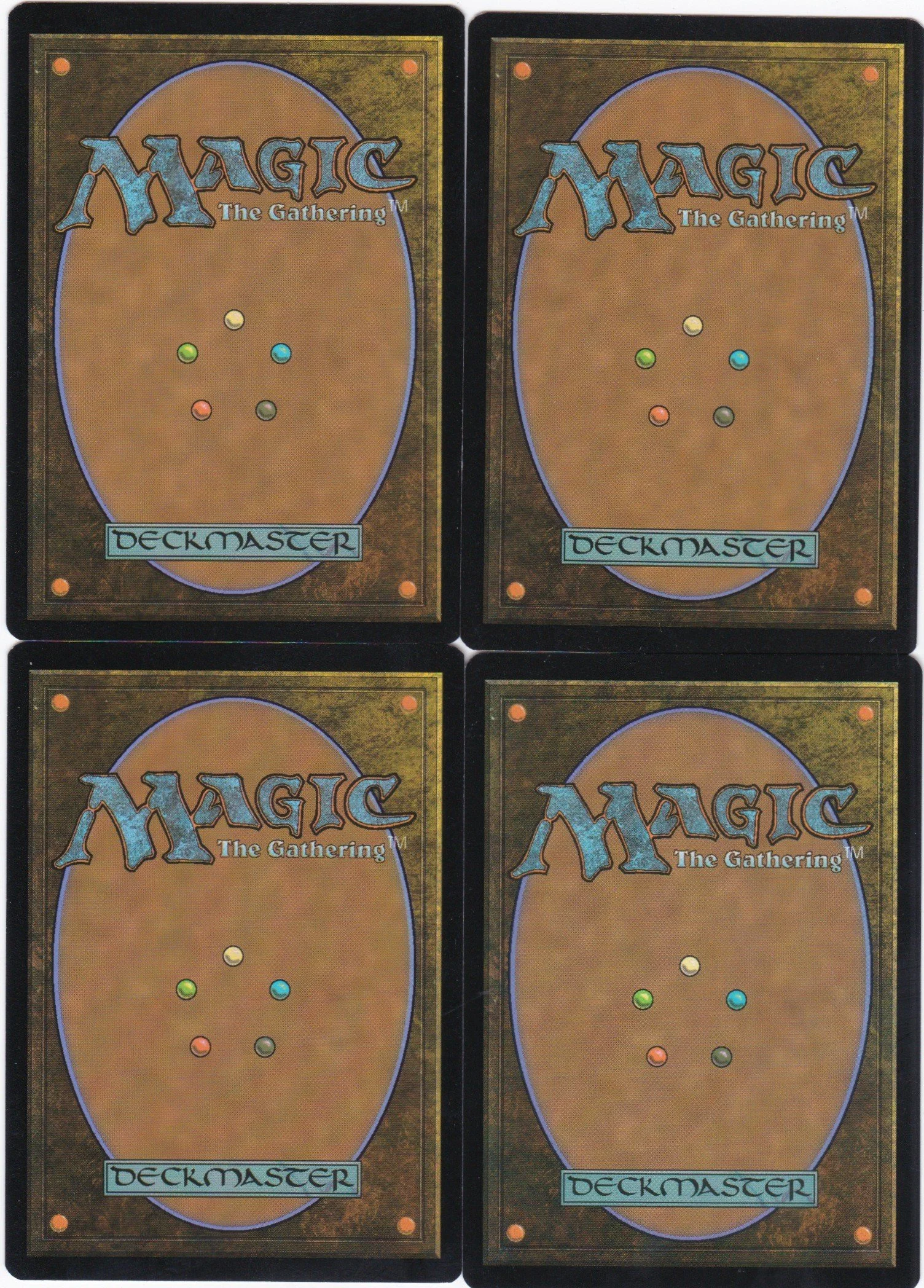 lulu, loyal hollyphant showcase b.jpg