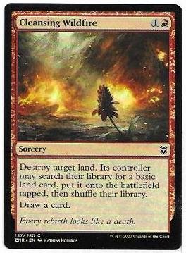 cleansing wildfire.1.jpg