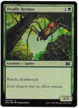 deadly recluse.1.jpg
