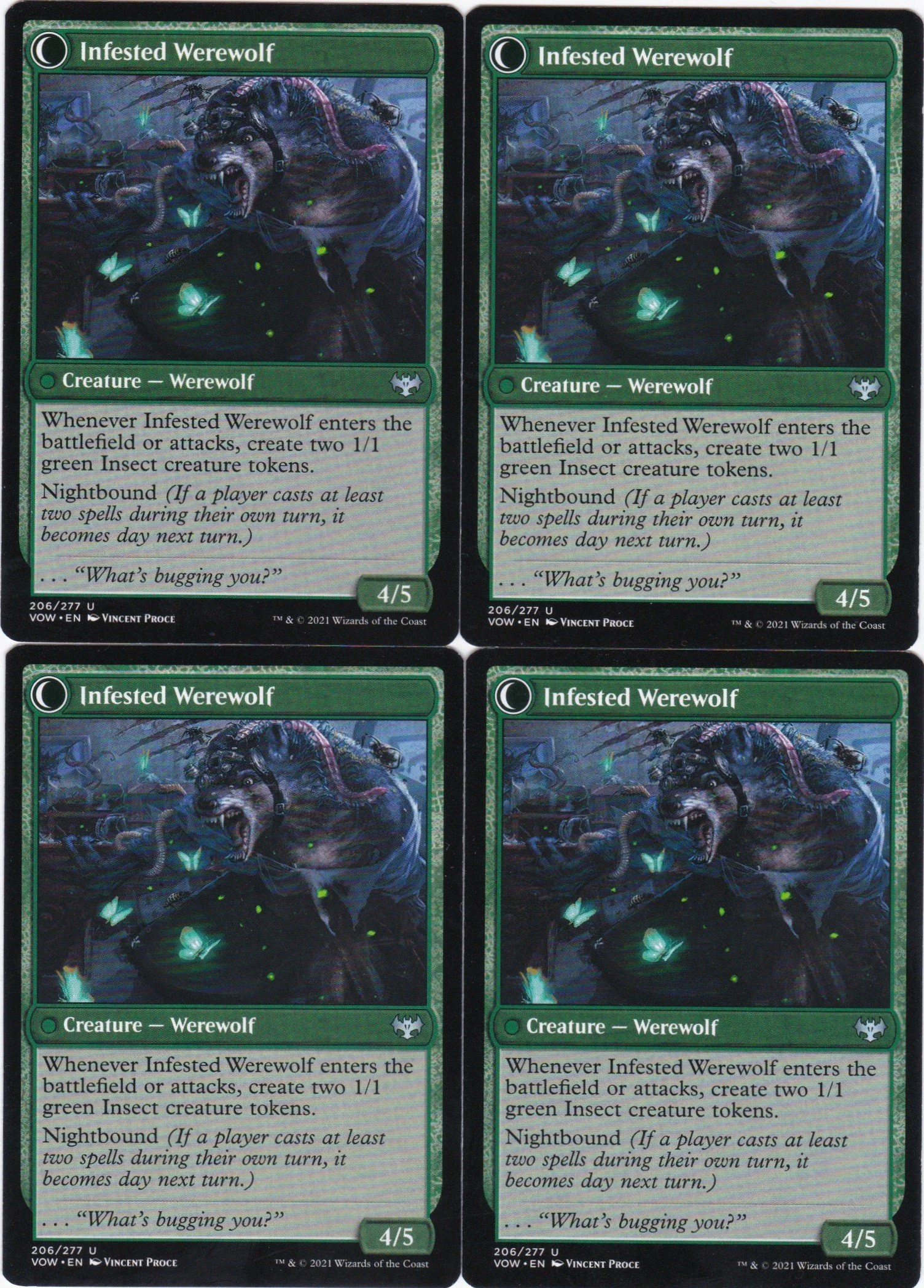 infestation expert b.jpg