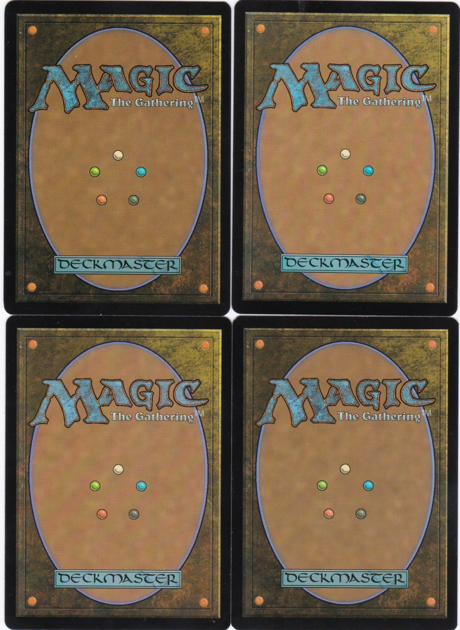 agatha's champion b.jpg