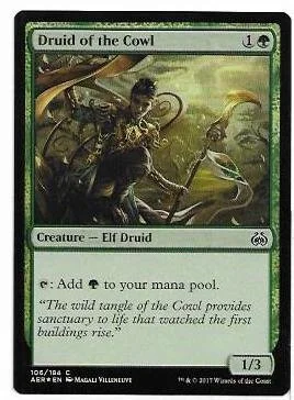 druid of the cowl.1.jpg