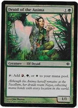 Druid of the Anima