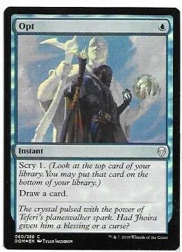 opt.1.jpg