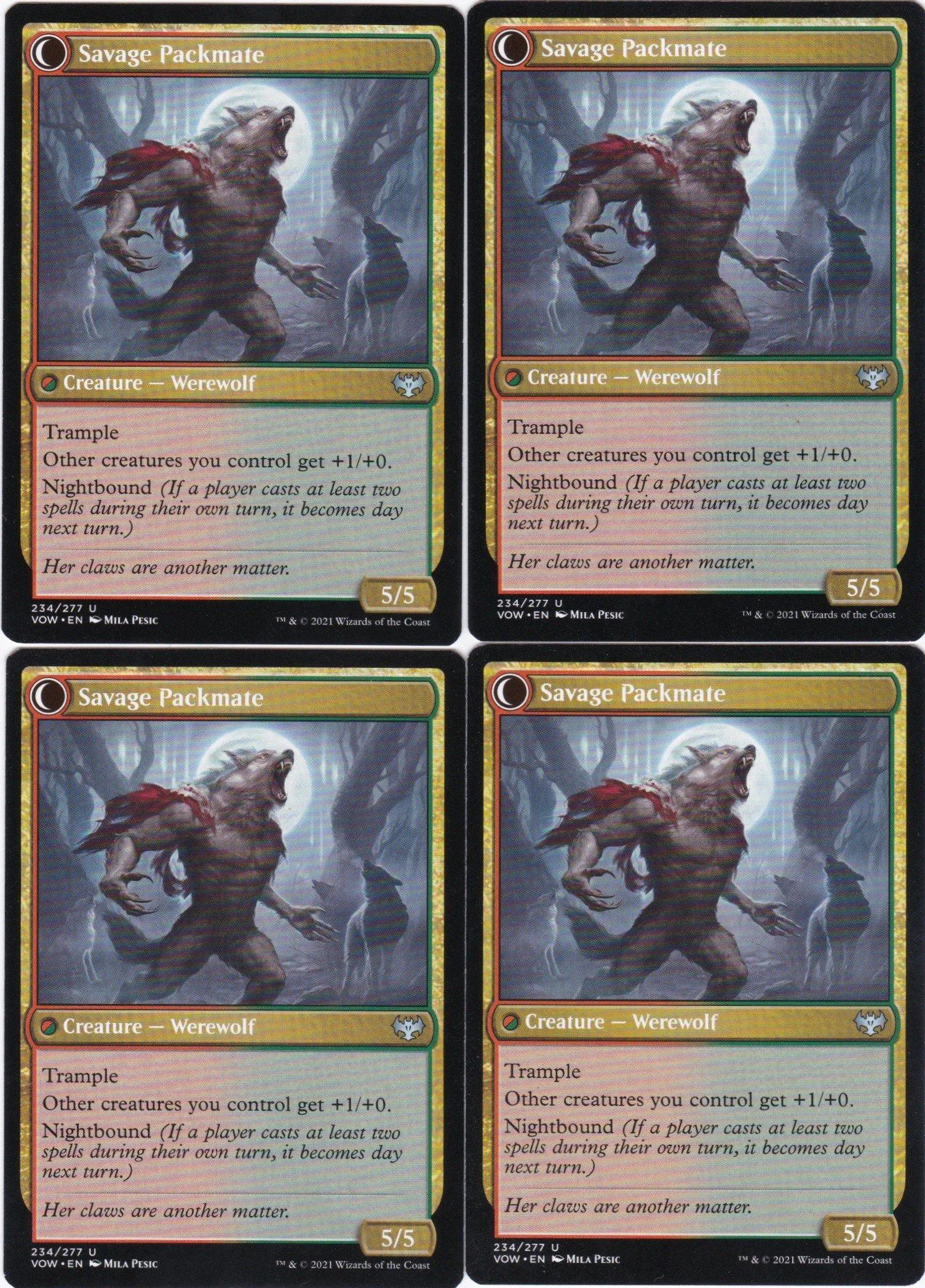 child of the pack b.jpg