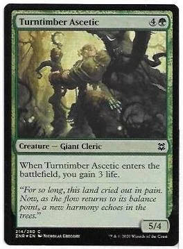 turntimber ascetic.1.jpg