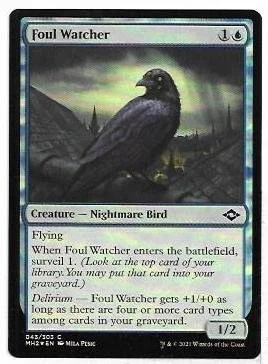 Foul Watcher