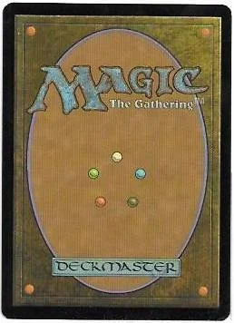 blister beetle.2.jpg