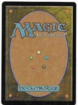 homing lightning.2.jpg