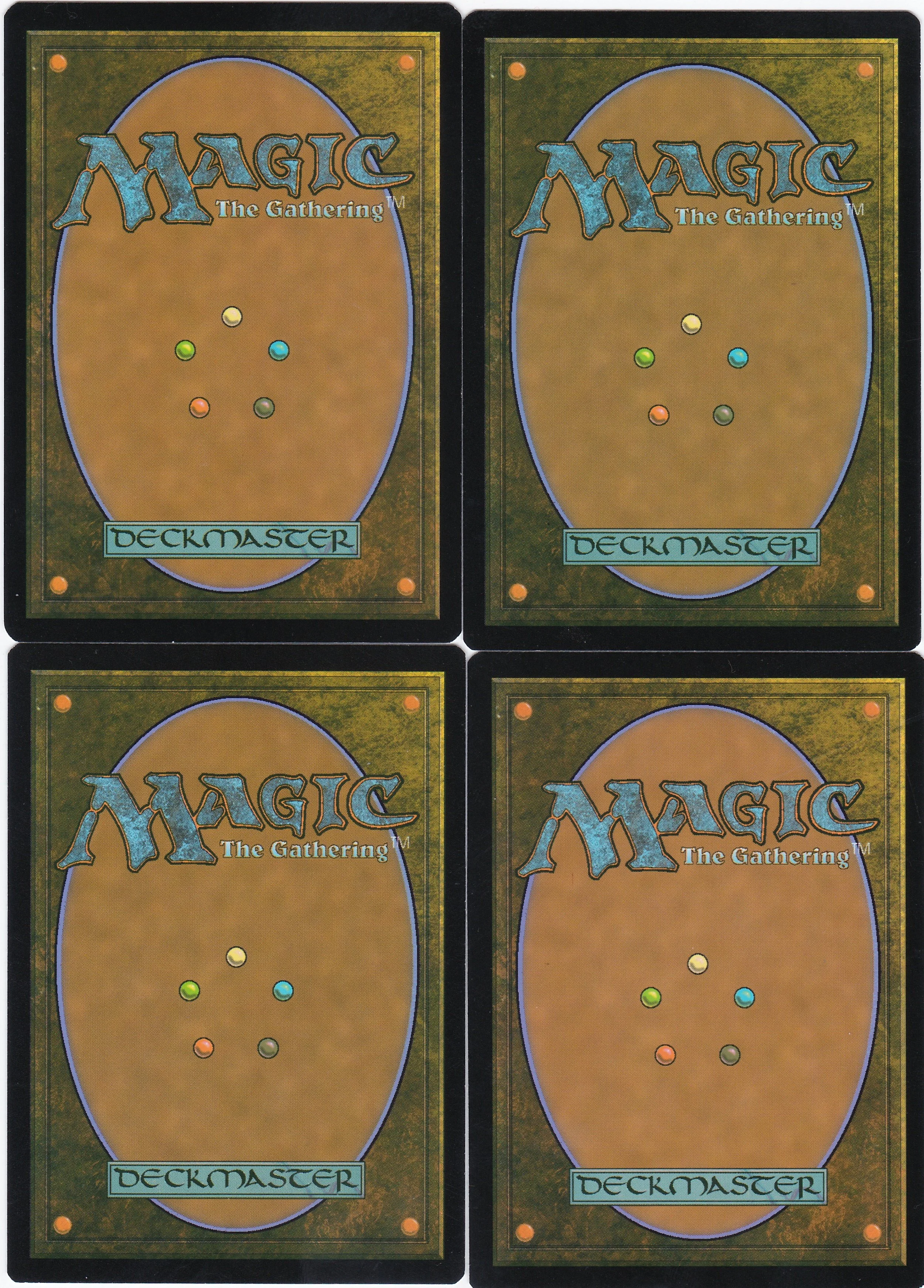 galloping lizrog b.jpg