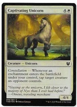 captivating unicorn.1.jpg