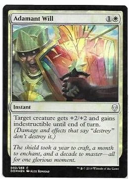 adamant will.1.jpg