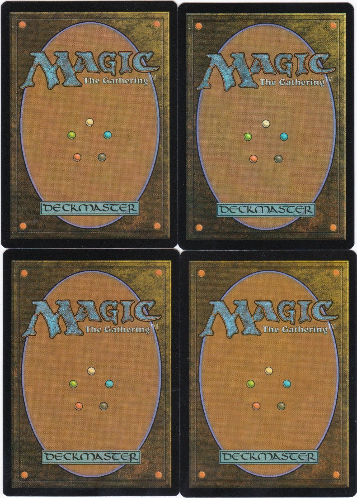 lulu, loyal hollyphant b.jpg