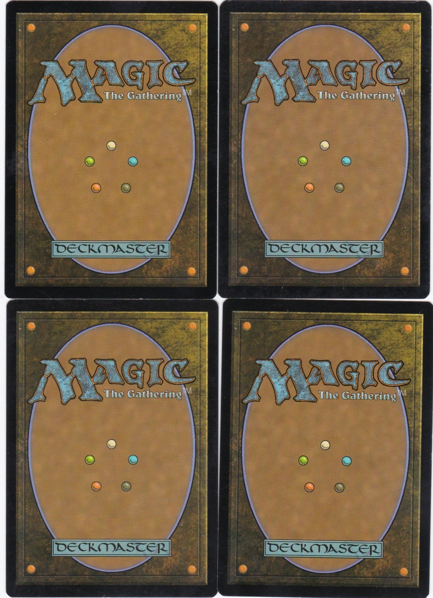 needletooth raptor b.jpg