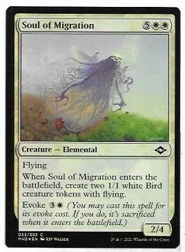 Soul of Migration