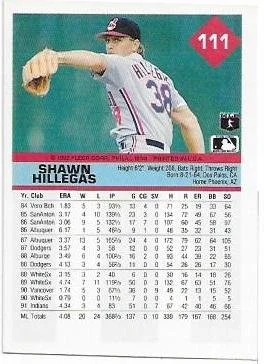 shawn hillegas.2.jpg