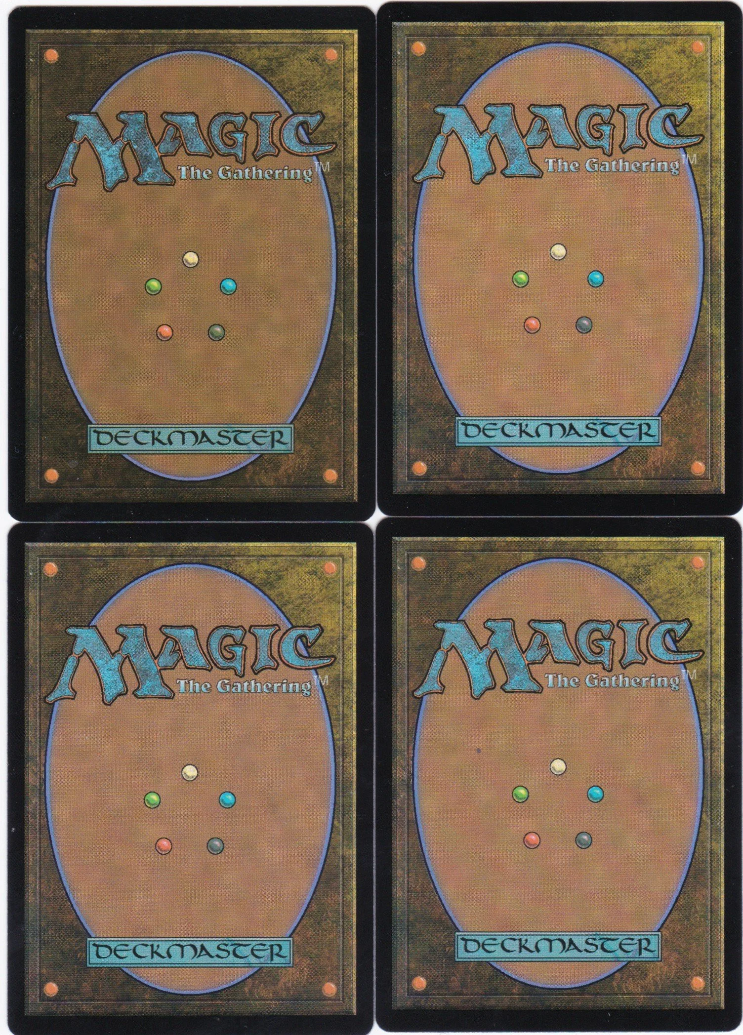 horned stoneseeker b.jpg