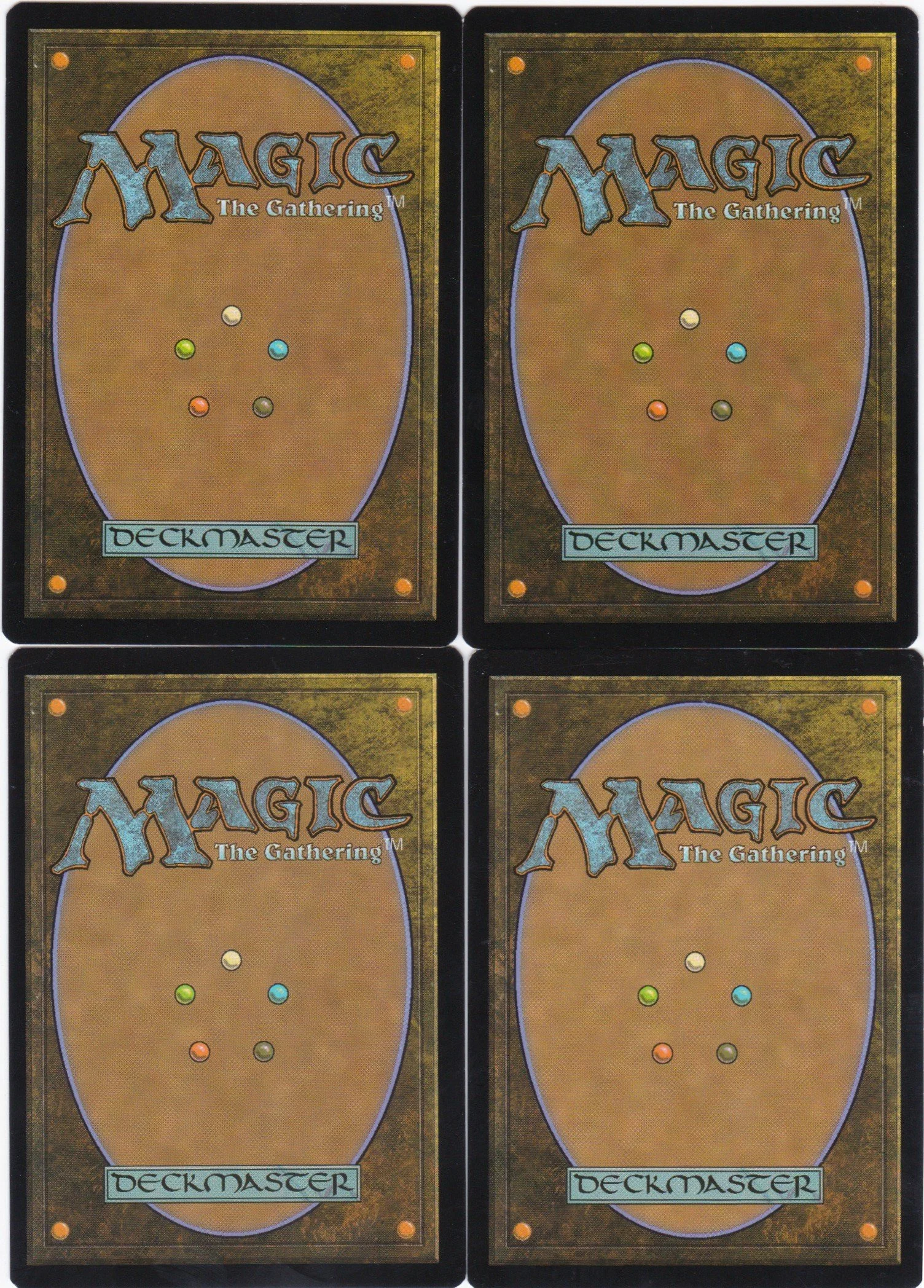 devoted crop-mate b.jpg