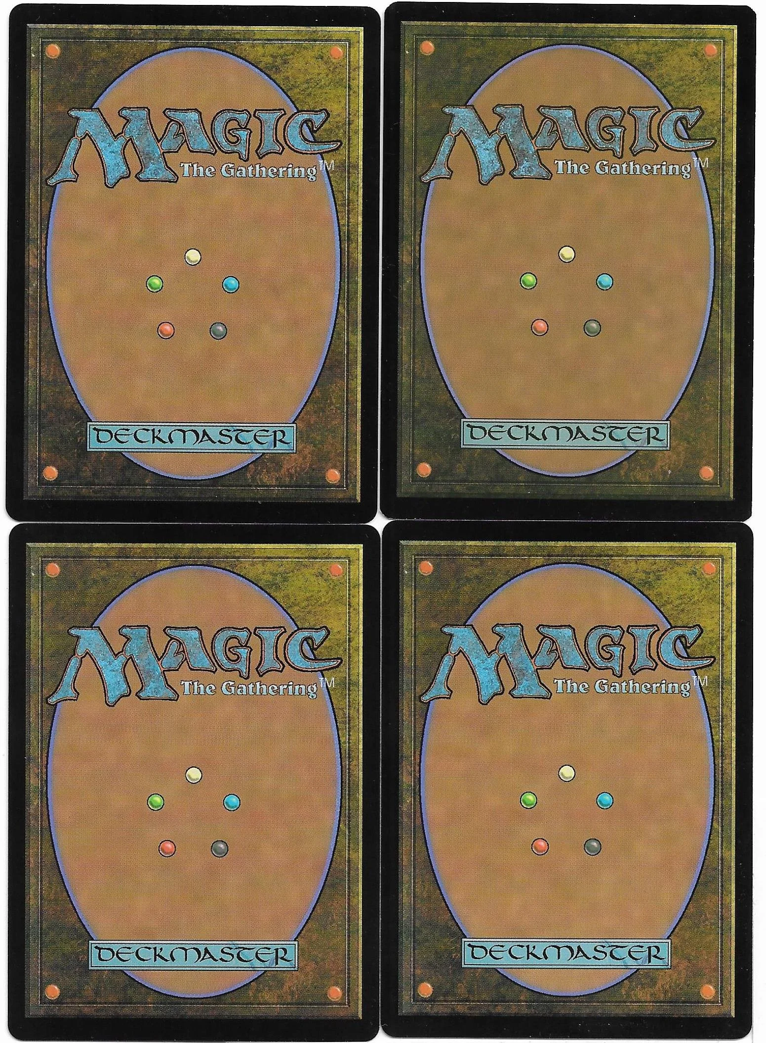 sanctuary lockdown.2.jpg