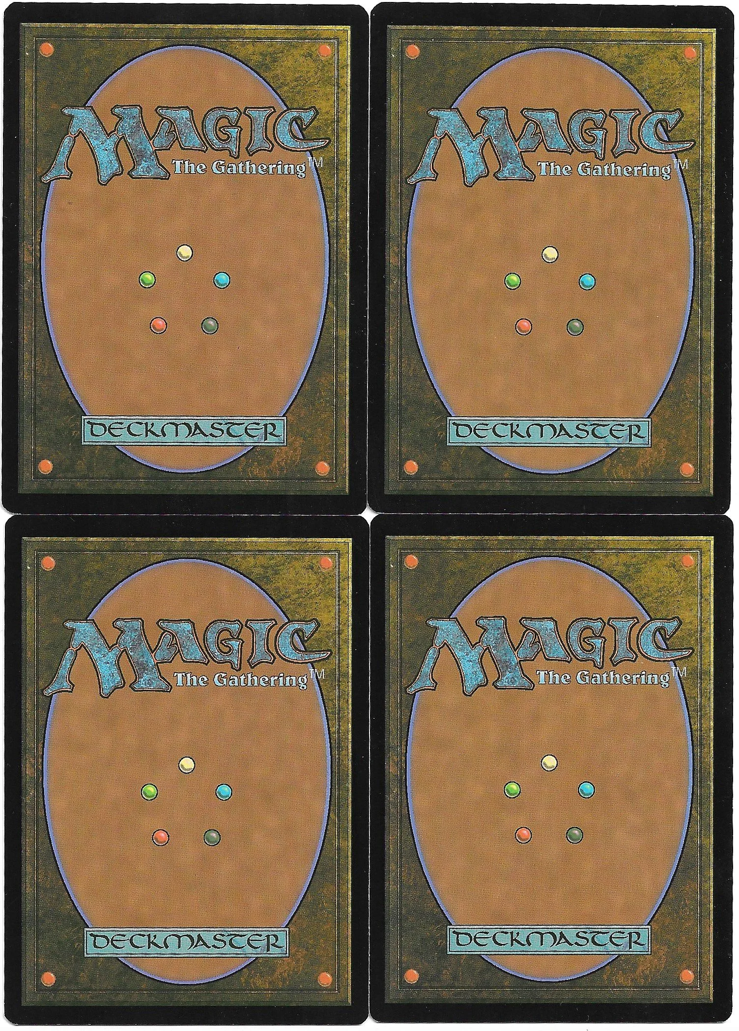 fungal rebirth b.jpg