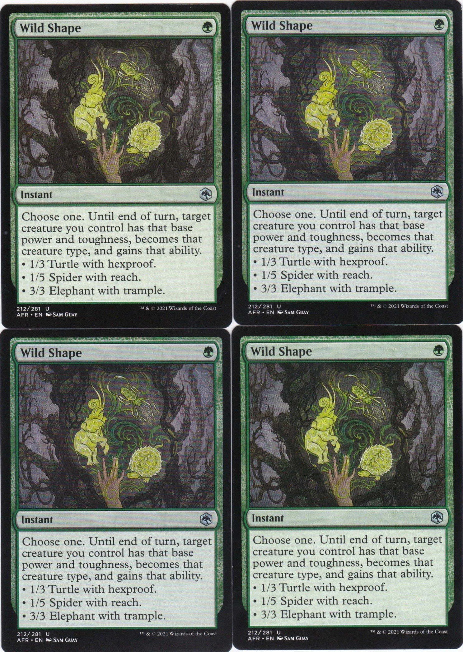 wild shape a.jpg