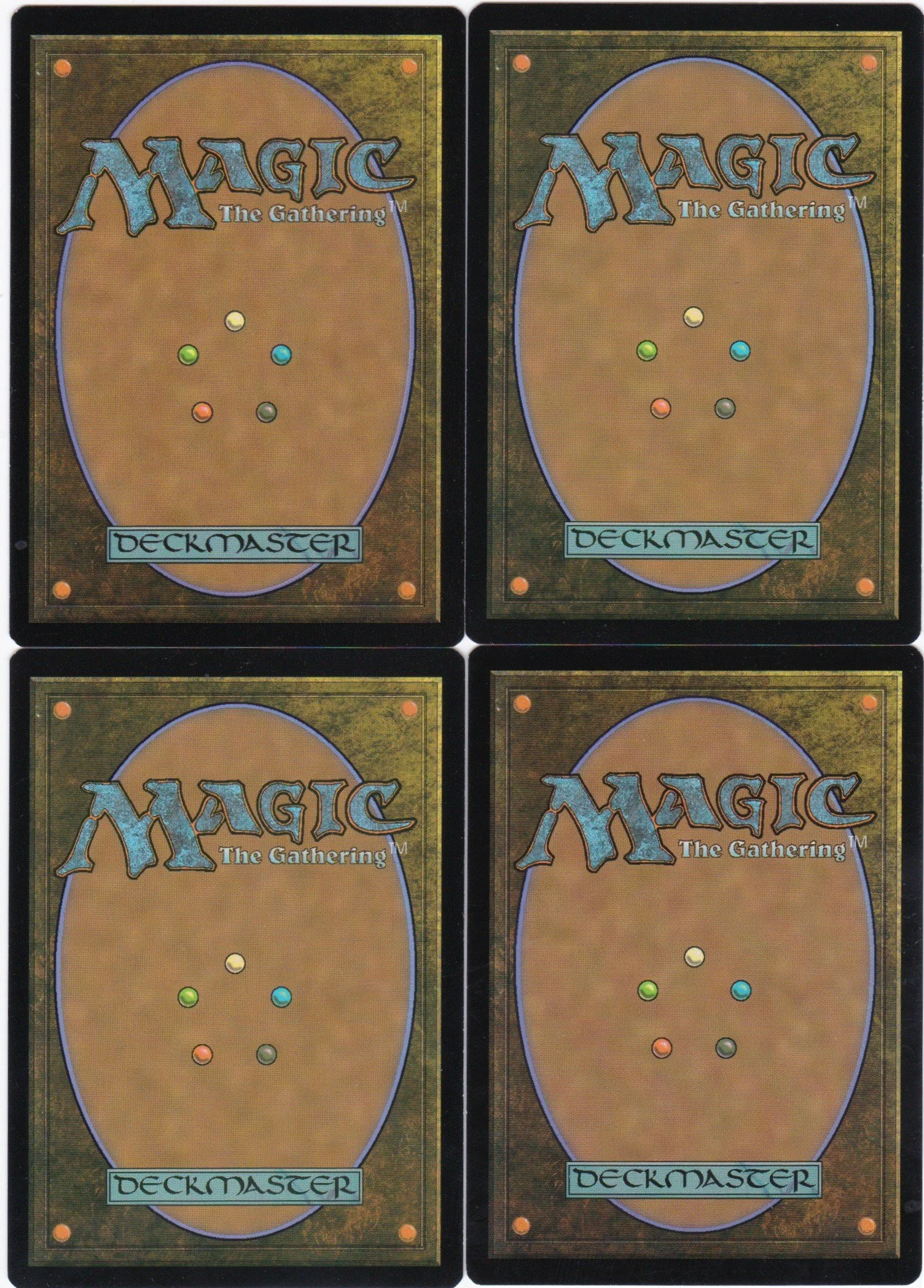 woodland champion b.jpg