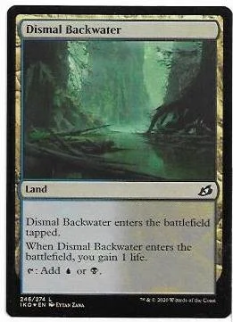 Dismal Backwater