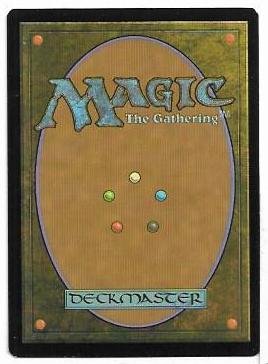 viashino sandsprinter.2.jpg