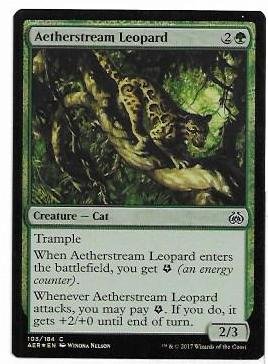 aetherstream leopard.1.jpg