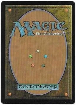 crusader of odric.2.jpg