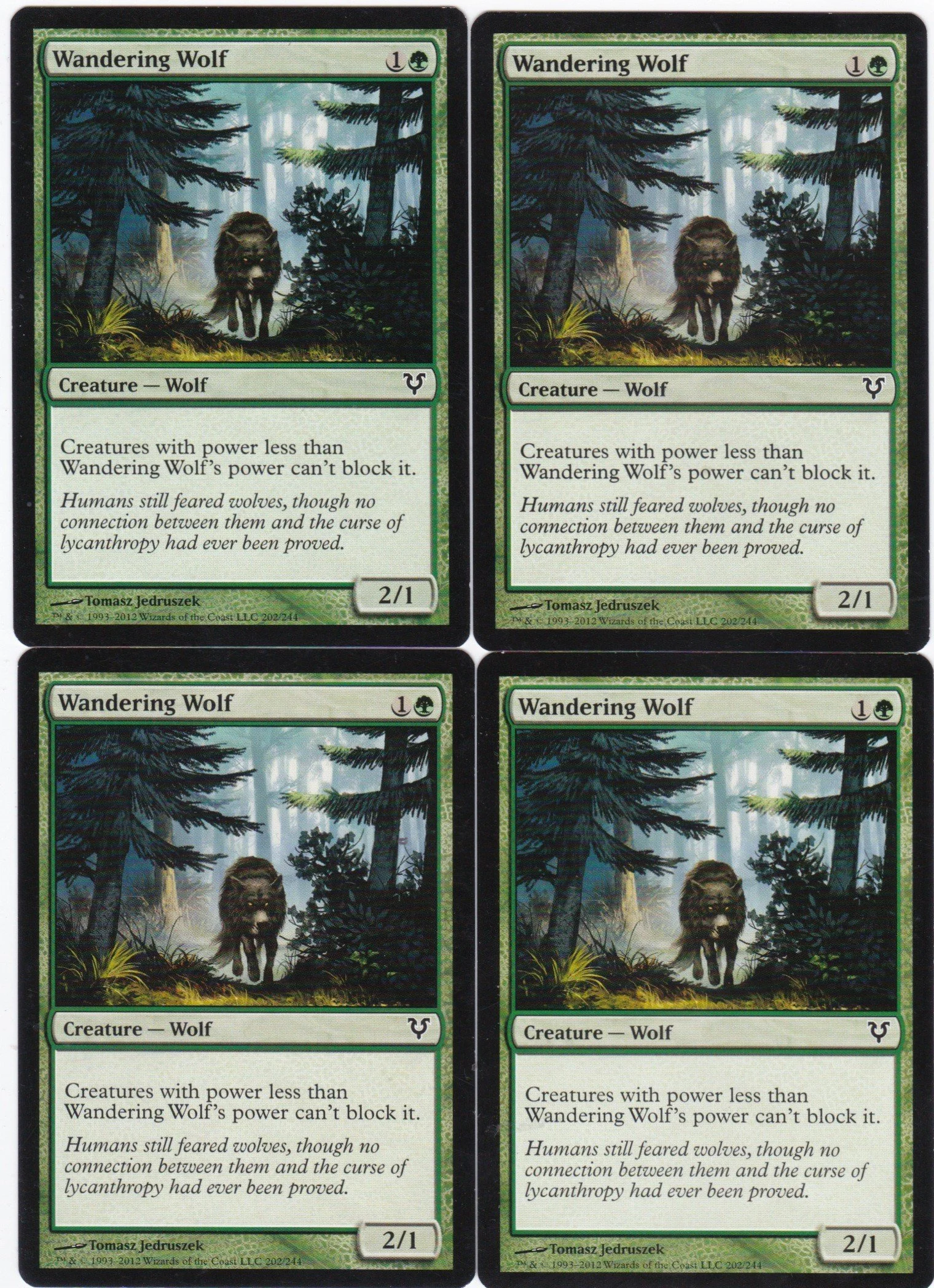 wandering wolf.jpg