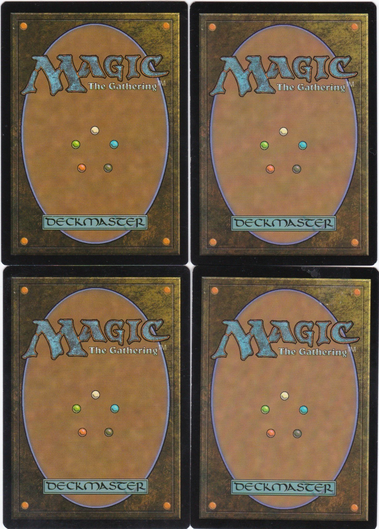 decimator beetle b.jpg