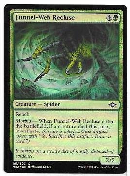 Funnel-Web Recluse