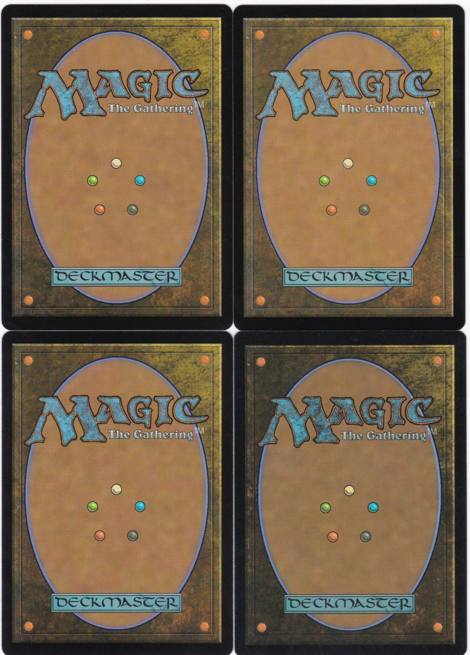 proud pack-rhino b.jpg