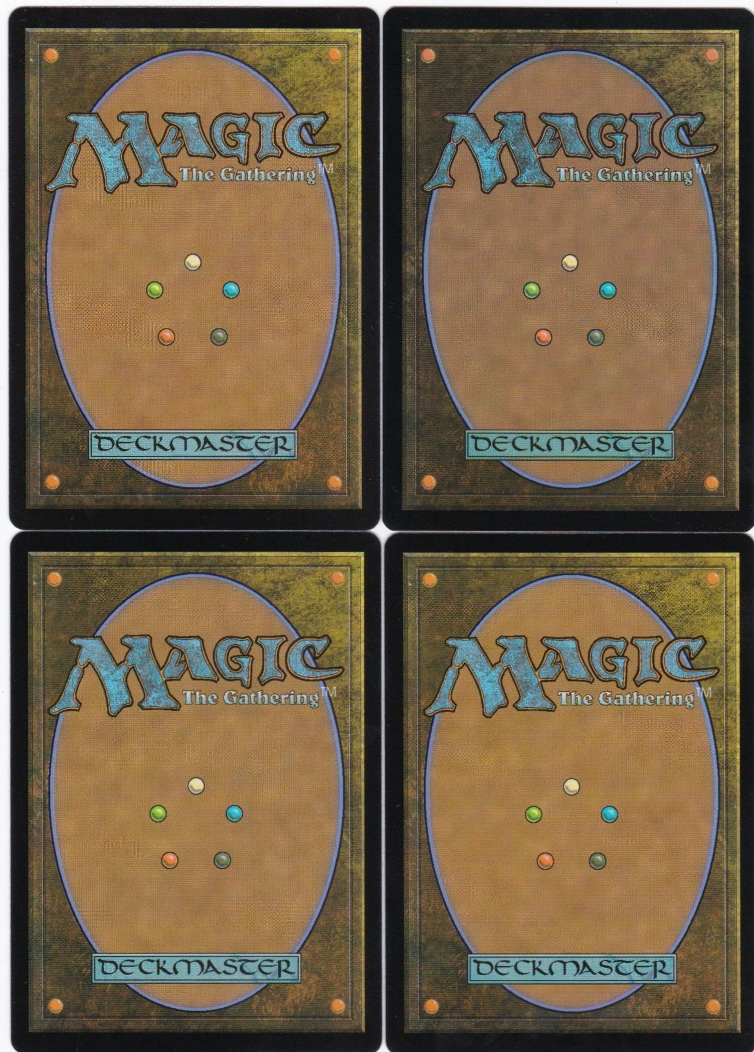 shrieking drake b.jpg