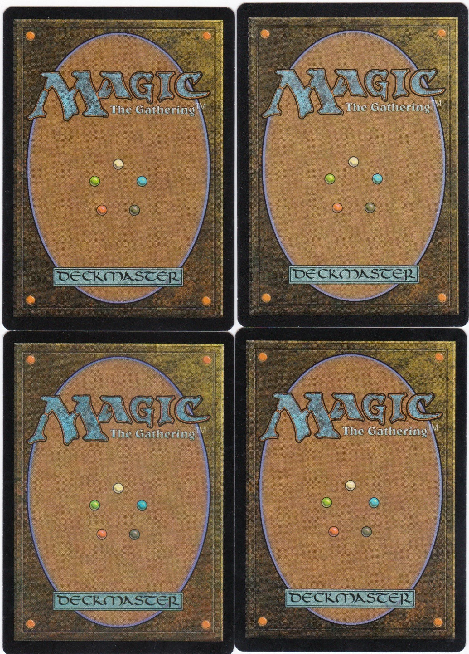 brave the elements b.jpg