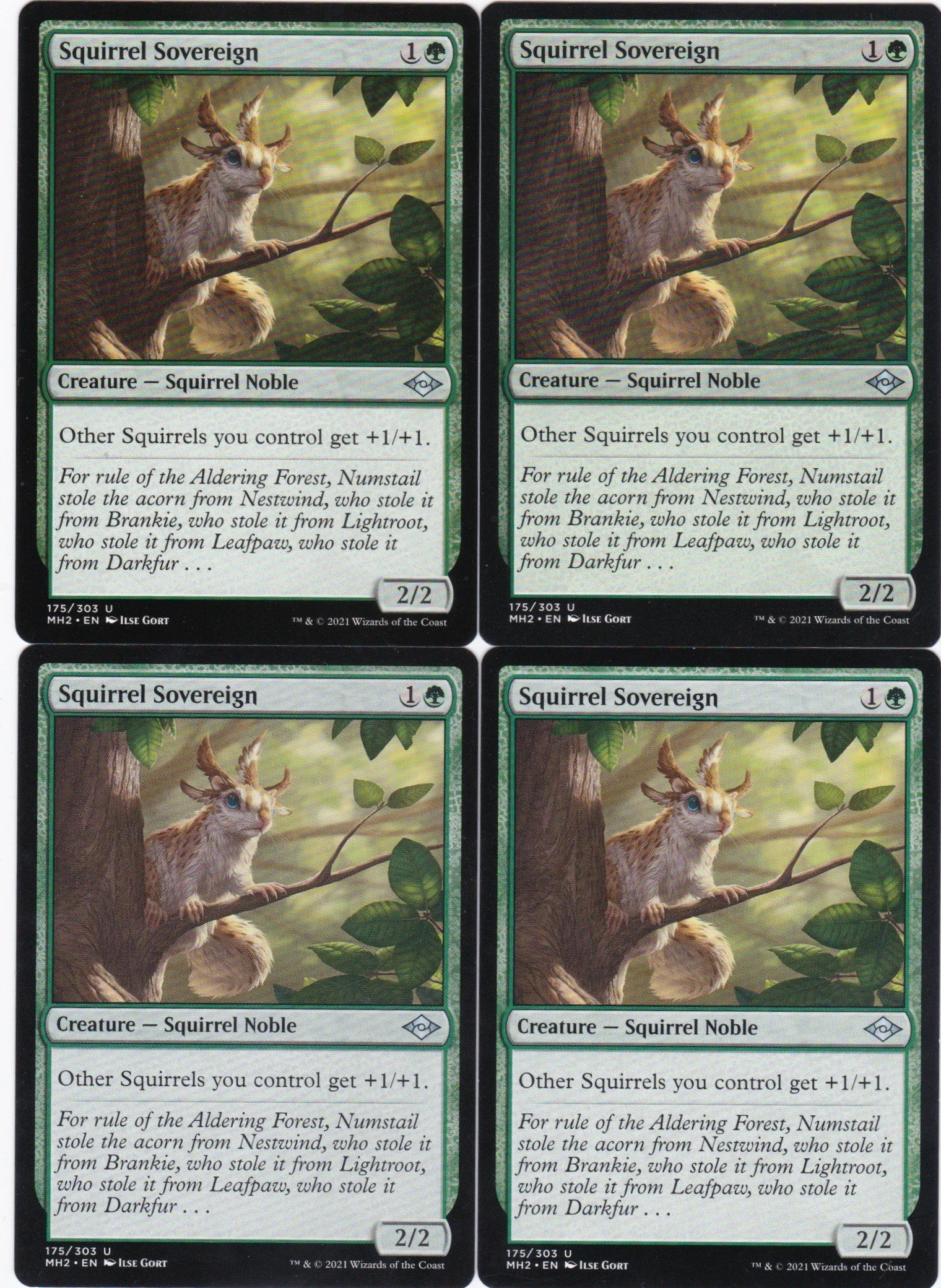 squirrel sovereign a.jpg