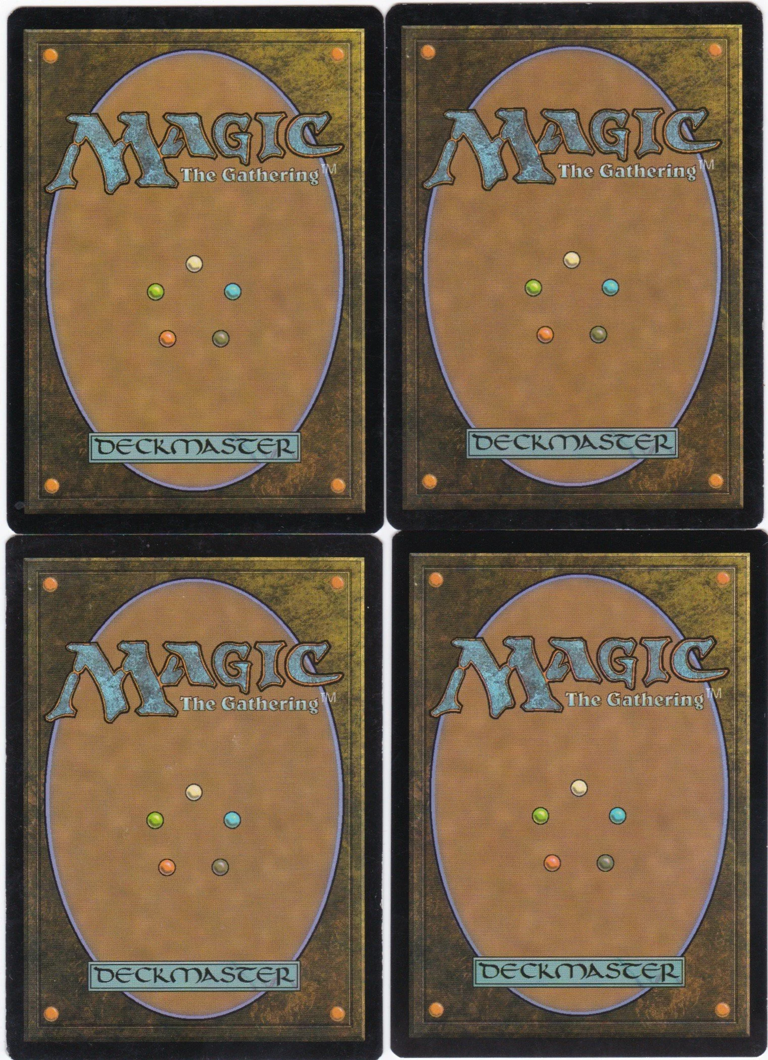 imperial ceratops b.jpg