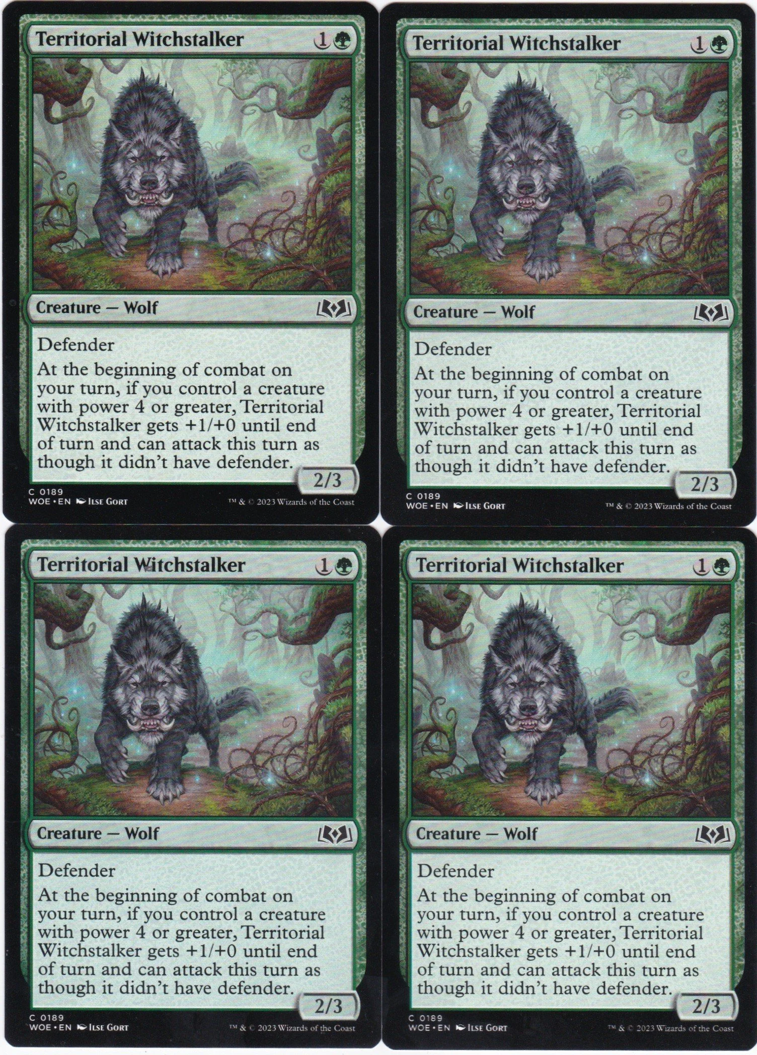 territorial witchstalker.jpg