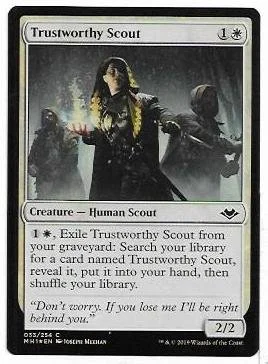 trtustworthy scout.1.jpg