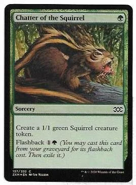Chatter of the Squirrel
