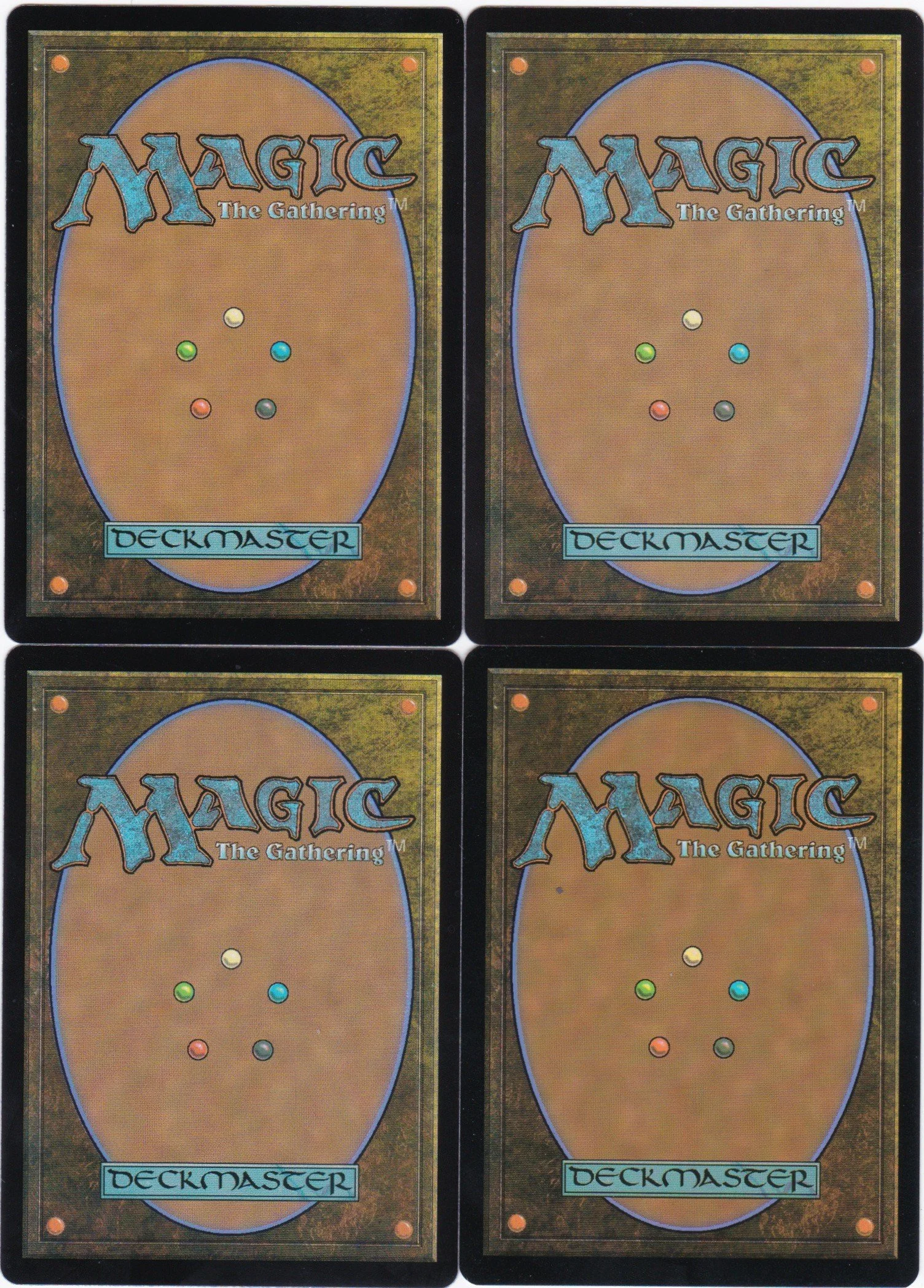 gnawing vermin b.jpg