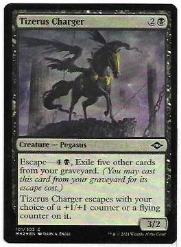 tizerus charger.1.jpg